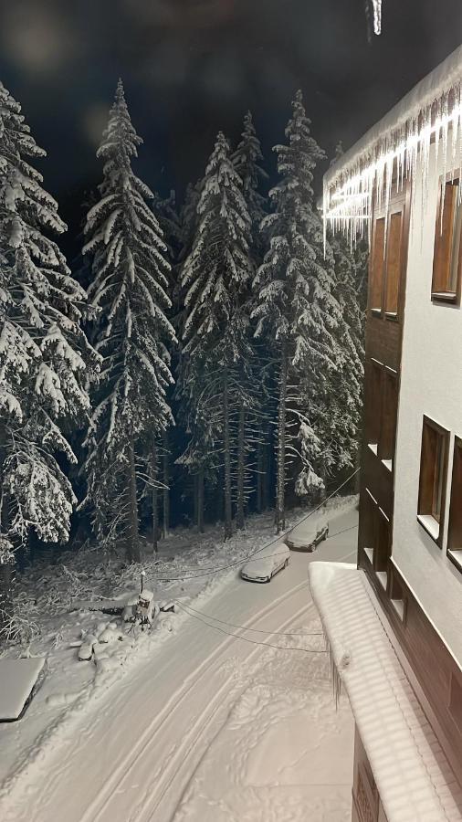 Cozy Apartment B35 In Grand Resort Pamporovo Exteriér fotografie